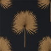 Fan Palm 216639